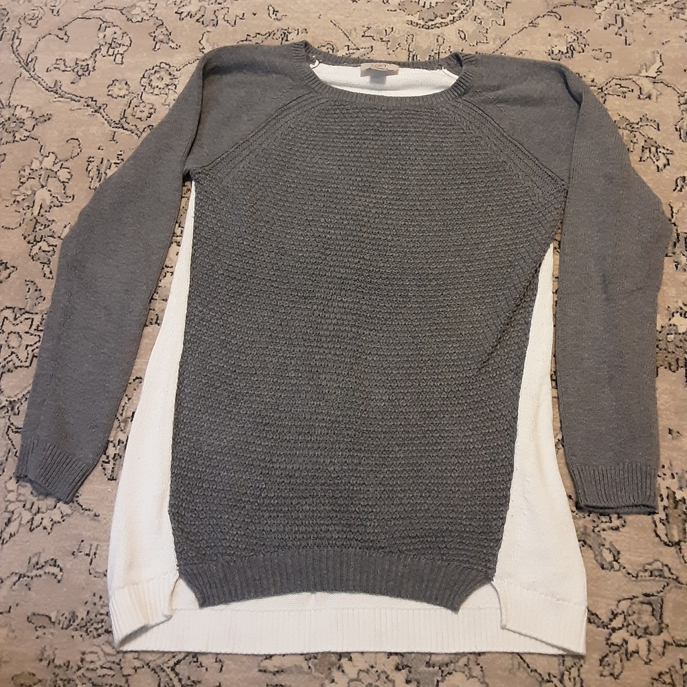 Loft Crewneck Gray and White Sweater